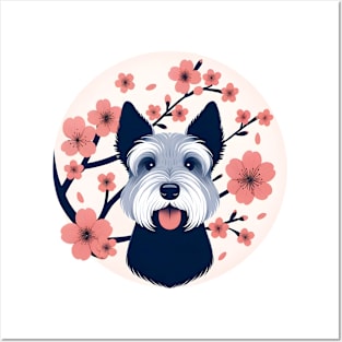 Cesky Terrier Celebrates Spring with Cherry Blossoms Posters and Art